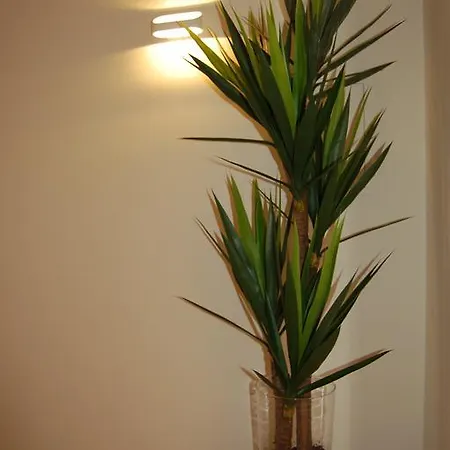 別荘 Golf 6 オビドス