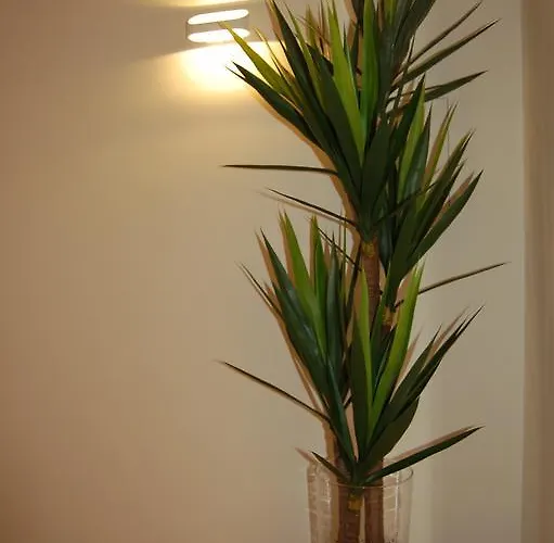 Vakantiehuis Golf 6 Óbidos